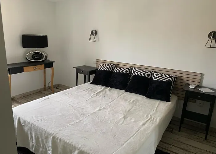 Les Dahlias Appartement 4 Personnes Jacuzzi Barbecue Jardin Arbore Climatise